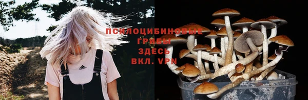 гидра Алзамай