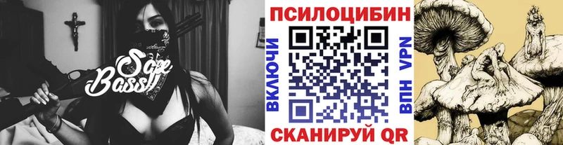 купить наркотики сайты  Дудинка  Псилоцибиновые грибы ЛСД 