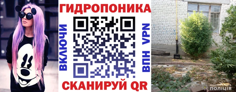 Каннабис VHQ  Дудинка 